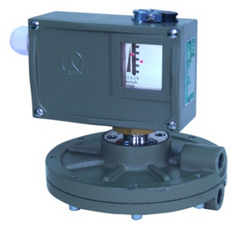 无码日本被黑人强伦姧视频