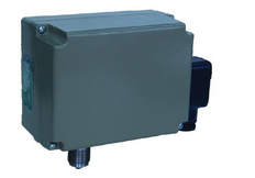 无码日本被黑人强伦姧视频