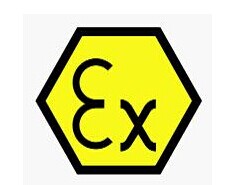 无码日本被黑人强伦姧视频