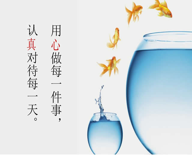 无码日本被黑人强伦姧视频