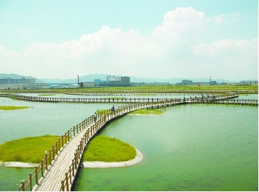 无码日本被黑人强伦姧视频